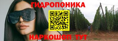 крисы Лесосибирск