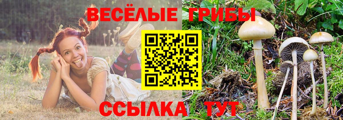 Галлюциногенные грибы ЛСД Дзержинск