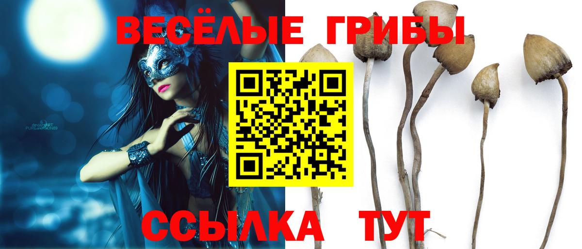 Галлюциногенные грибы Psilocybe  Вход с VPN  Дзержинск  Псилоцибиновые грибы мухоморы 