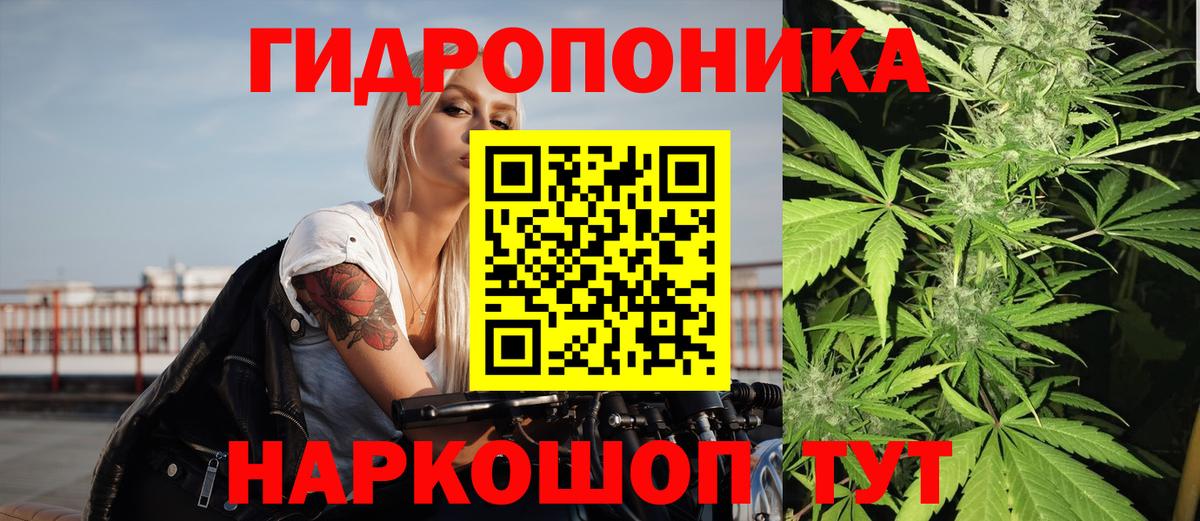 Бошки марихуана Bruce Banner Дзержинск